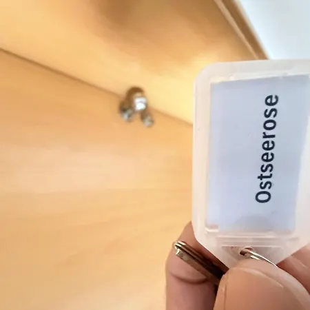 Ostseerose * Цингст
